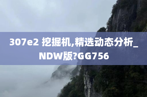 307e2 挖掘机,精选动态分析_NDW版?GG756