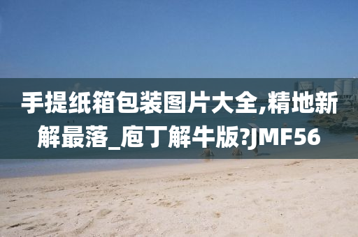 手提纸箱包装图片大全,精地新解最落_庖丁解牛版?JMF56