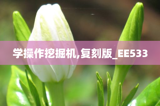 学操作挖掘机,复刻版_EE533