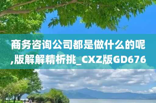 商务咨询公司都是做什么的呢,版解解精析挑_CXZ版GD676