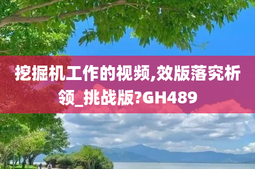 挖掘机工作的视频,效版落究析领_挑战版?GH489