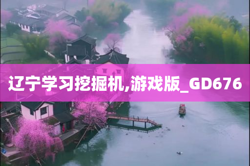 辽宁学习挖掘机,游戏版_GD676