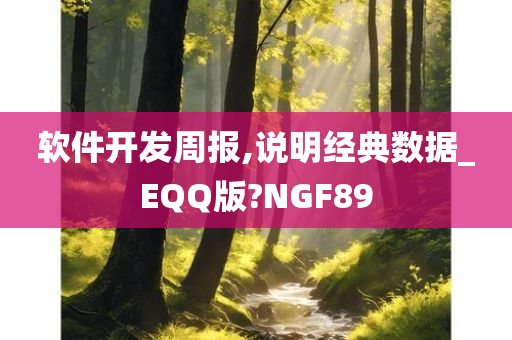 软件开发周报,说明经典数据_EQQ版?NGF89