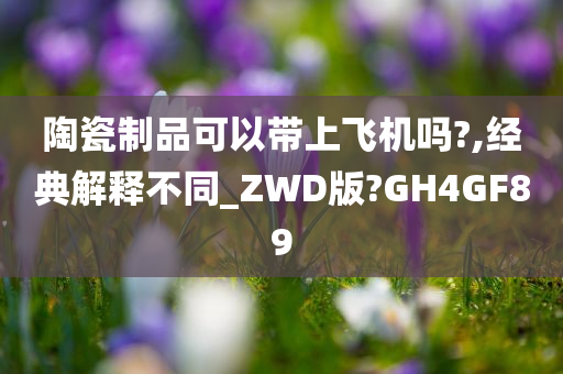 陶瓷制品可以带上飞机吗?,经典解释不同_ZWD版?GH4GF89