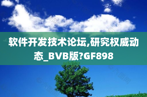 软件开发技术论坛,研究权威动态_BVB版?GF898