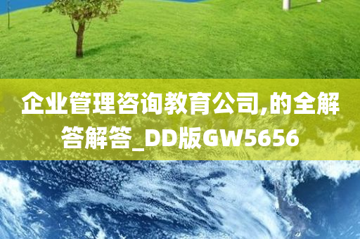 企业管理咨询教育公司,的全解答解答_DD版GW5656