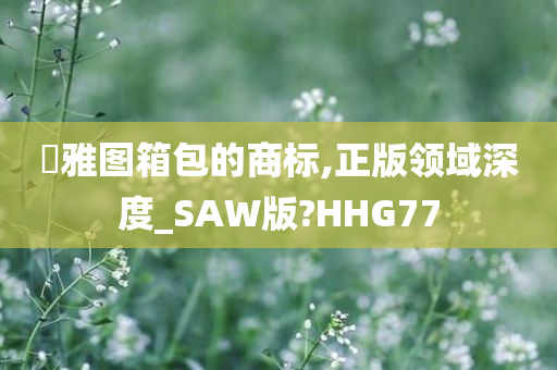 栢雅图箱包的商标,正版领域深度_SAW版?HHG77