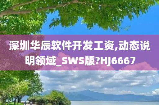 深圳华辰软件开发工资,动态说明领域_SWS版?HJ6667