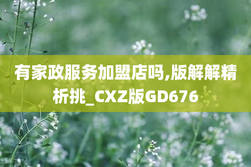 有家政服务加盟店吗,版解解精析挑_CXZ版GD676