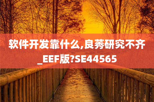 软件开发靠什么,良莠研究不齐_EEF版?SE44565