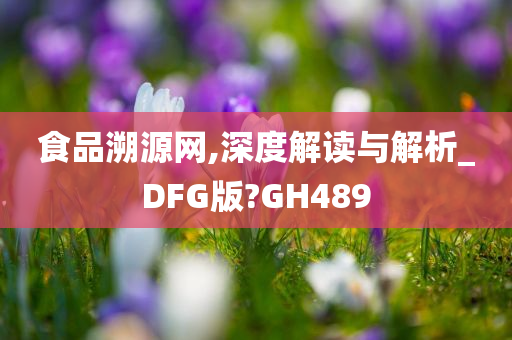 食品溯源网,深度解读与解析_DFG版?GH489