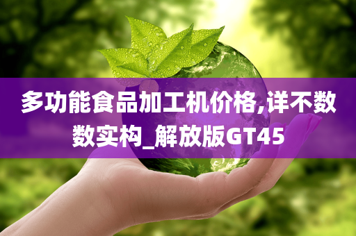 多功能食品加工机价格,详不数数实构_解放版GT45