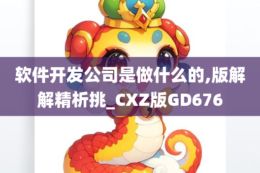 软件开发公司是做什么的,版解解精析挑_CXZ版GD676