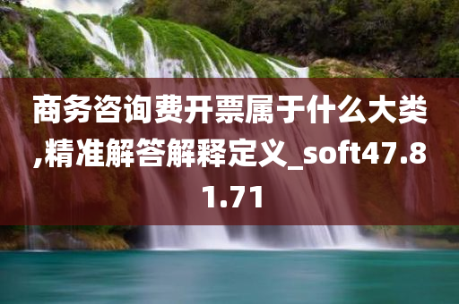 商务咨询费开票属于什么大类,精准解答解释定义_soft47.81.71