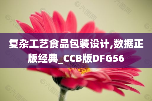 复杂工艺食品包装设计,数据正版经典_CCB版DFG56