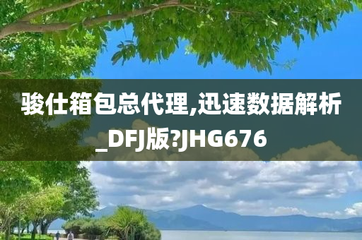 骏仕箱包总代理,迅速数据解析_DFJ版?JHG676