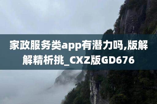 家政服务类app有潜力吗,版解解精析挑_CXZ版GD676