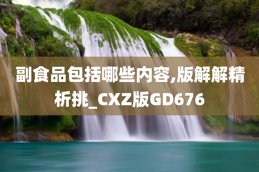 副食品包括哪些内容,版解解精析挑_CXZ版GD676