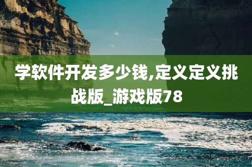 学软件开发多少钱,定义定义挑战版_游戏版78