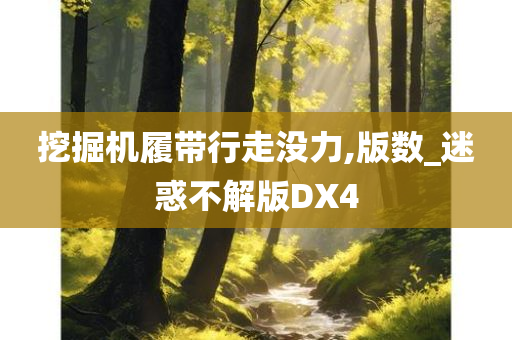 挖掘机履带行走没力,版数_迷惑不解版DX4