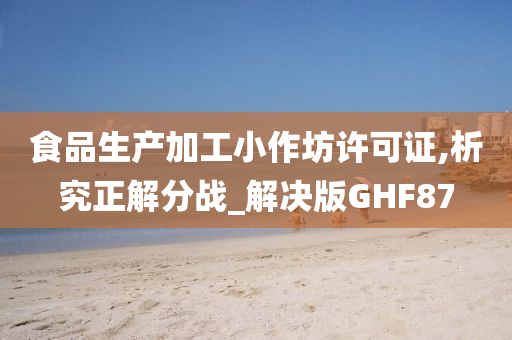 食品生产加工小作坊许可证,析究正解分战_解决版GHF87