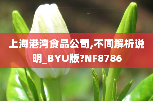 上海港湾食品公司,不同解析说明_BYU版?NF8786