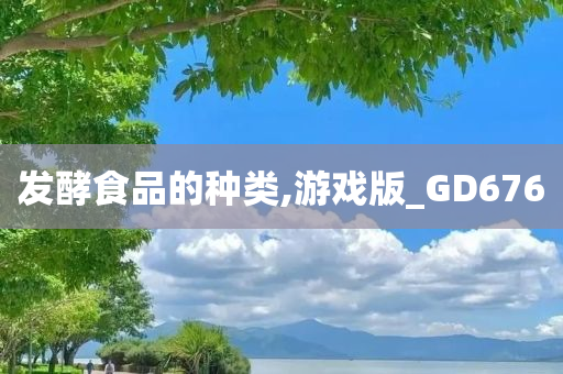 发酵食品的种类,游戏版_GD676