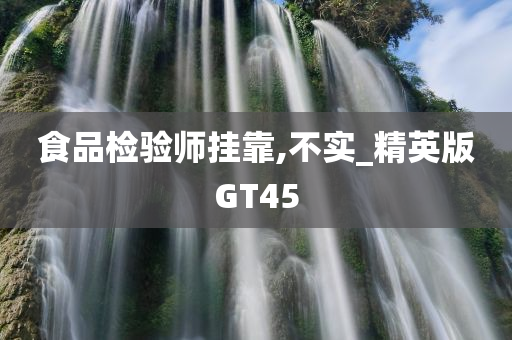 食品检验师挂靠,不实_精英版GT45