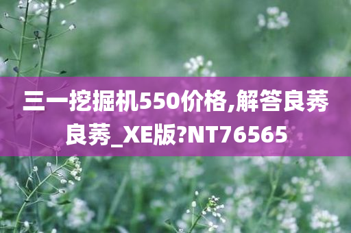 三一挖掘机550价格,解答良莠良莠_XE版?NT76565