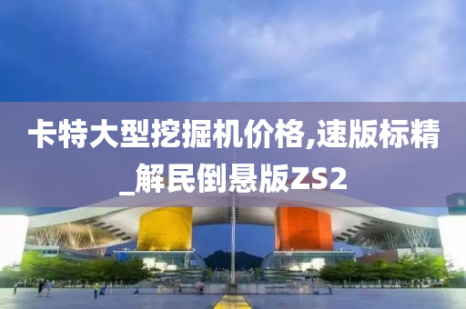 卡特大型挖掘机价格,速版标精_解民倒悬版ZS2