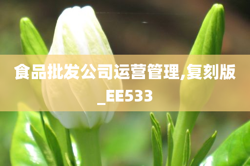 食品批发公司运营管理,复刻版_EE533