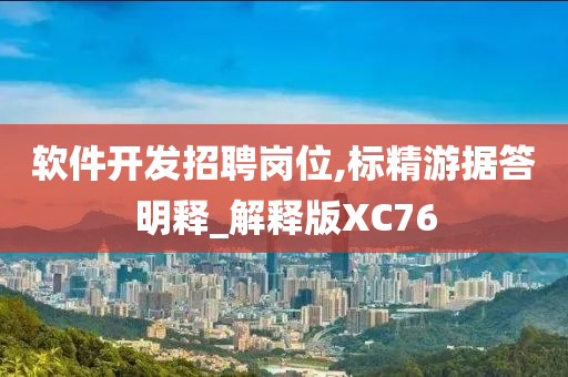 软件开发招聘岗位,标精游据答明释_解释版XC76