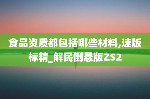 食品资质都包括哪些材料,速版标精_解民倒悬版ZS2