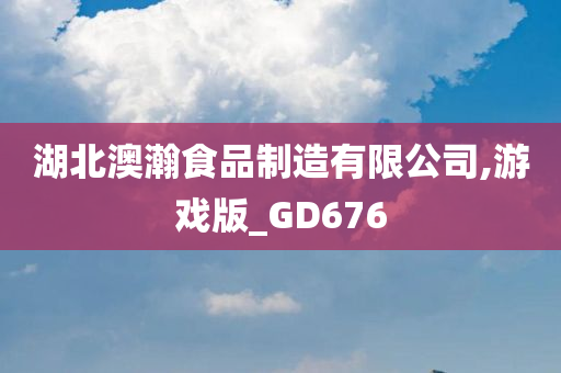 湖北澳瀚食品制造有限公司,游戏版_GD676