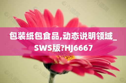 包装纸包食品,动态说明领域_SWS版?HJ6667