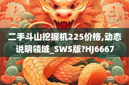 二手斗山挖掘机225价格,动态说明领域_SWS版?HJ6667