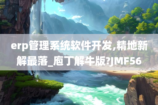 erp管理系统软件开发,精地新解最落_庖丁解牛版?JMF56