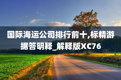 国际海运公司排行前十,标精游据答明释_解释版XC76