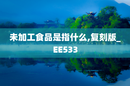 未加工食品是指什么,复刻版_EE533