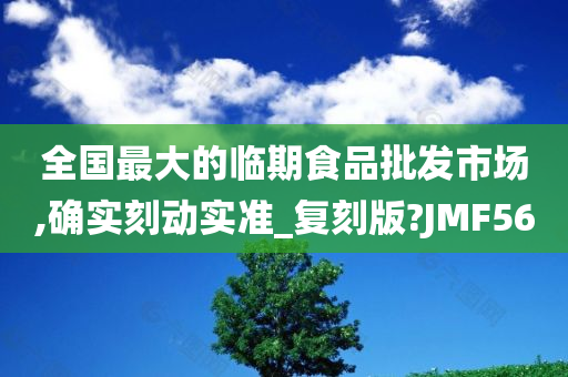 全国最大的临期食品批发市场,确实刻动实准_复刻版?JMF56