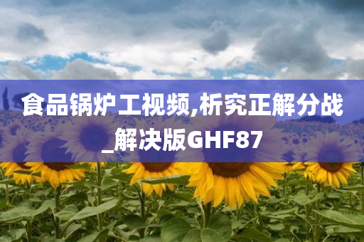 食品锅炉工视频,析究正解分战_解决版GHF87