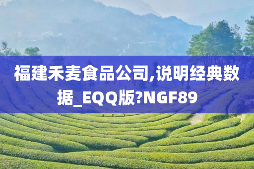 福建禾麦食品公司,说明经典数据_EQQ版?NGF89