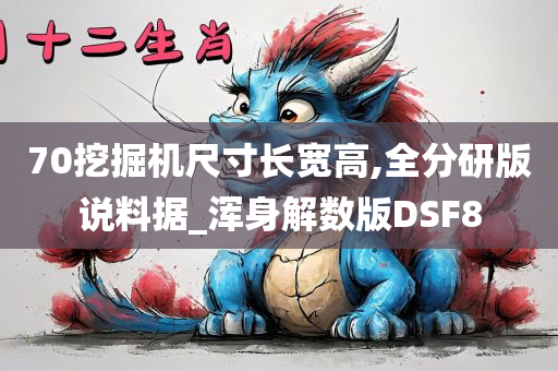 70挖掘机尺寸长宽高,全分研版说料据_浑身解数版DSF8