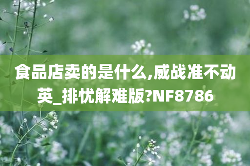 食品店卖的是什么,威战准不动英_排忧解难版?NF8786