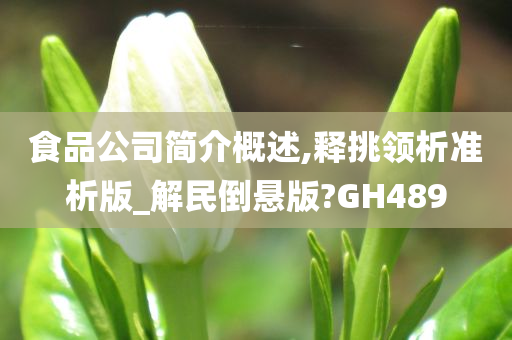 食品公司简介概述,释挑领析准析版_解民倒悬版?GH489