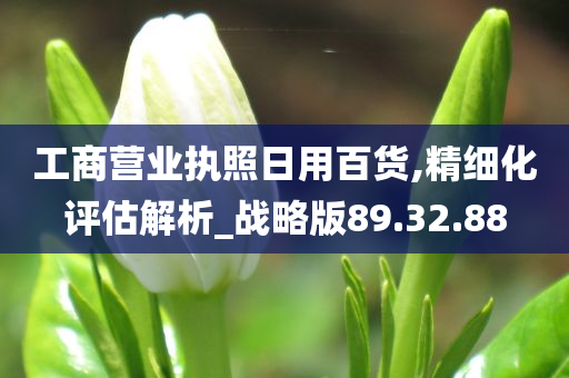 工商营业执照日用百货,精细化评估解析_战略版89.32.88