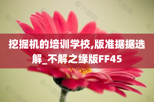 挖掘机的培训学校,版准据据选解_不解之缘版FF45