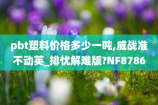 pbt塑料价格多少一吨,威战准不动英_排忧解难版?NF8786