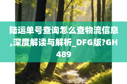 陆运单号查询怎么查物流信息,深度解读与解析_DFG版?GH489