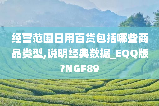 经营范围日用百货包括哪些商品类型,说明经典数据_EQQ版?NGF89